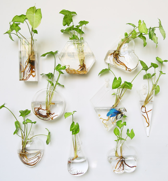 Round Oval Glass Wall Vase