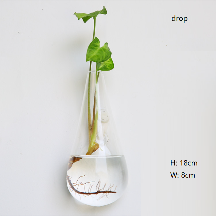 Round Oval Glass Wall Vase