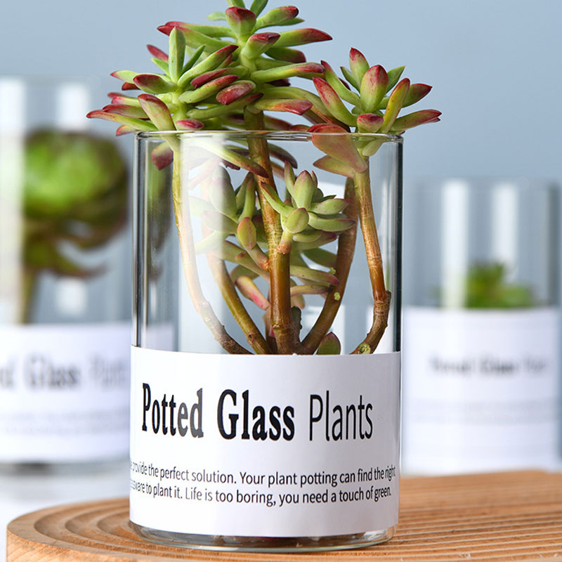 mini glass candle vases mini glass candle vases