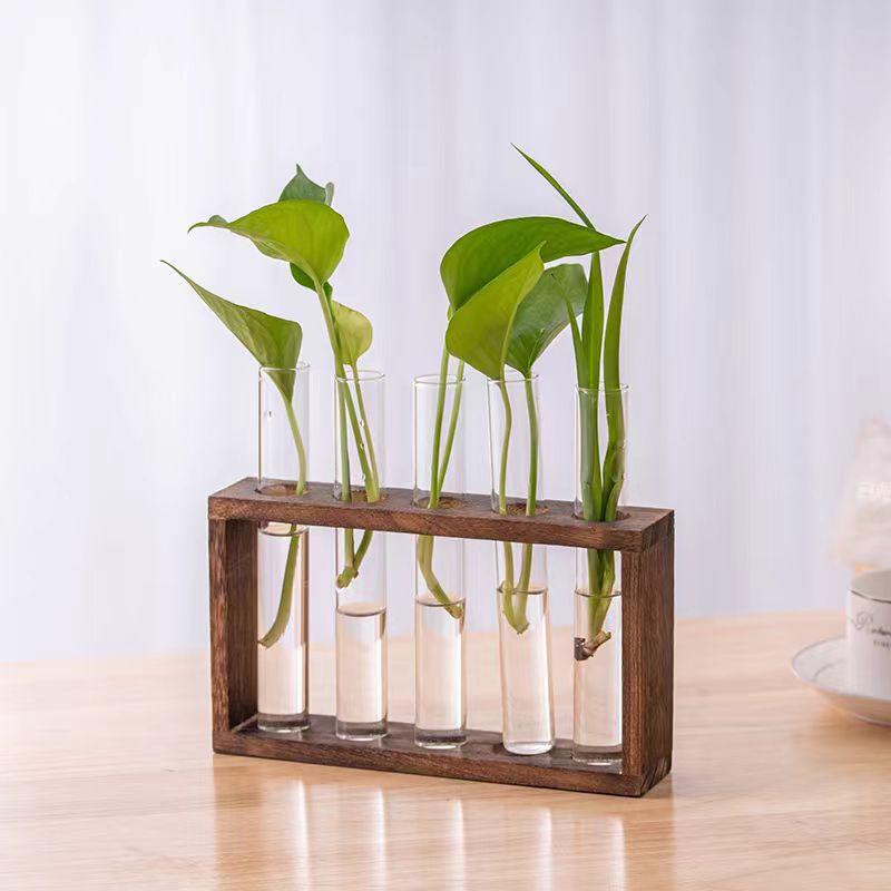 Tall Clear Tube Glass Vase Set With Wood Stand