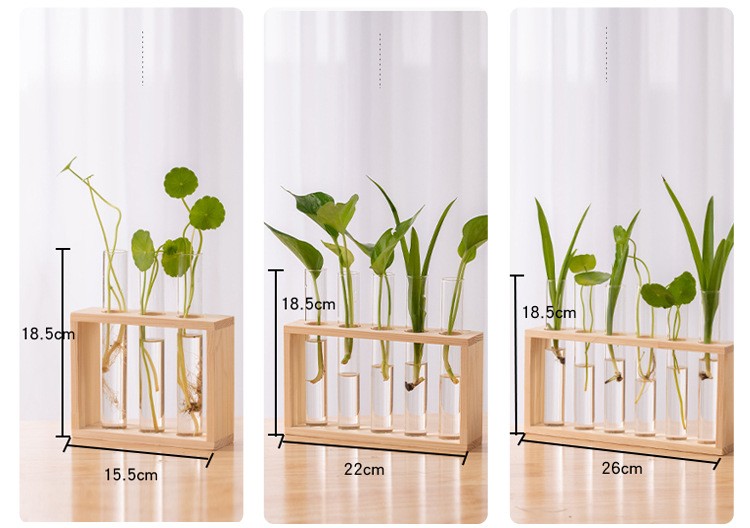 Tall Clear Tube Glass Vase Set With Wood Stand