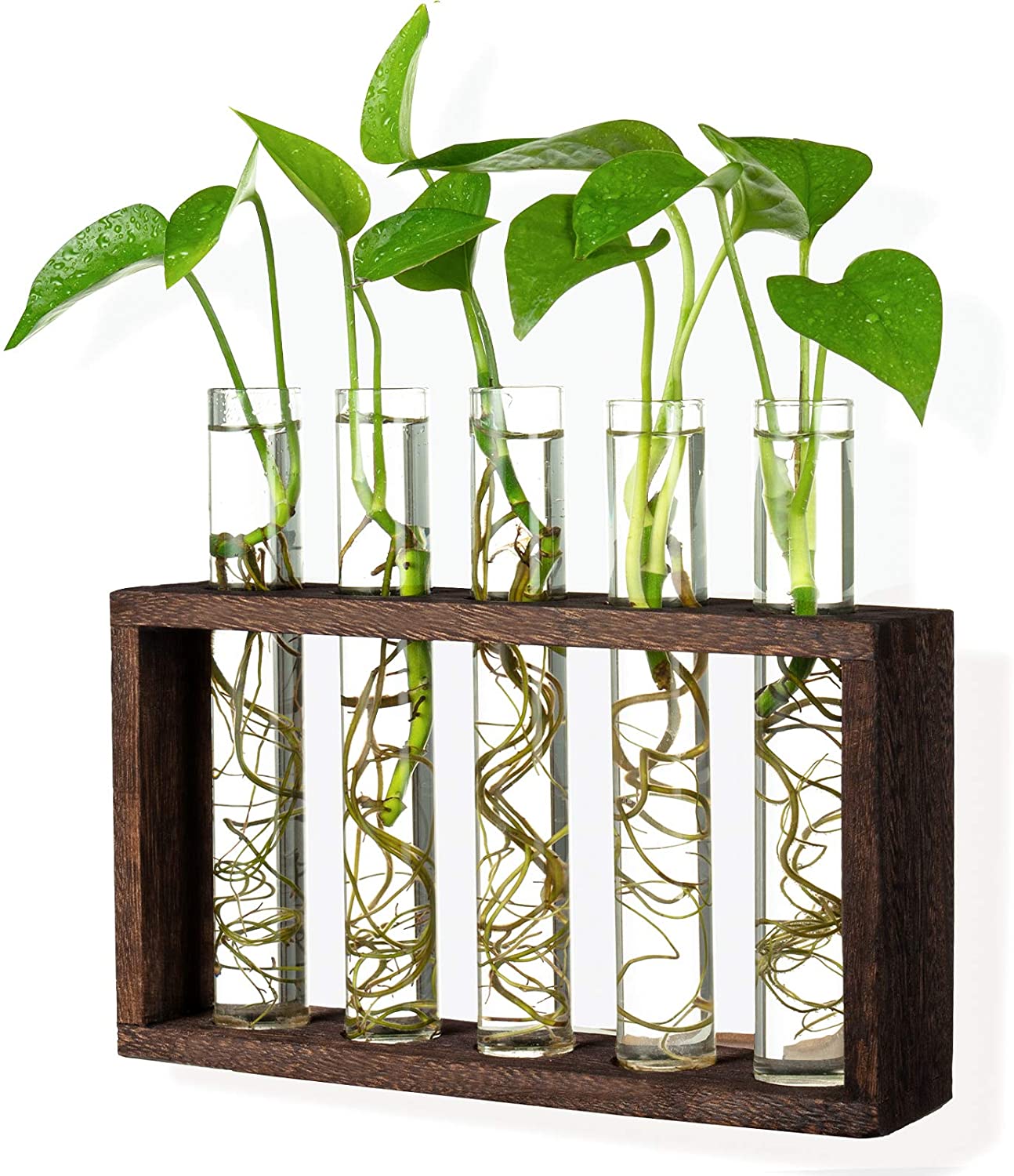 Tall Clear Tube Glass Vase Set With Wood Stand