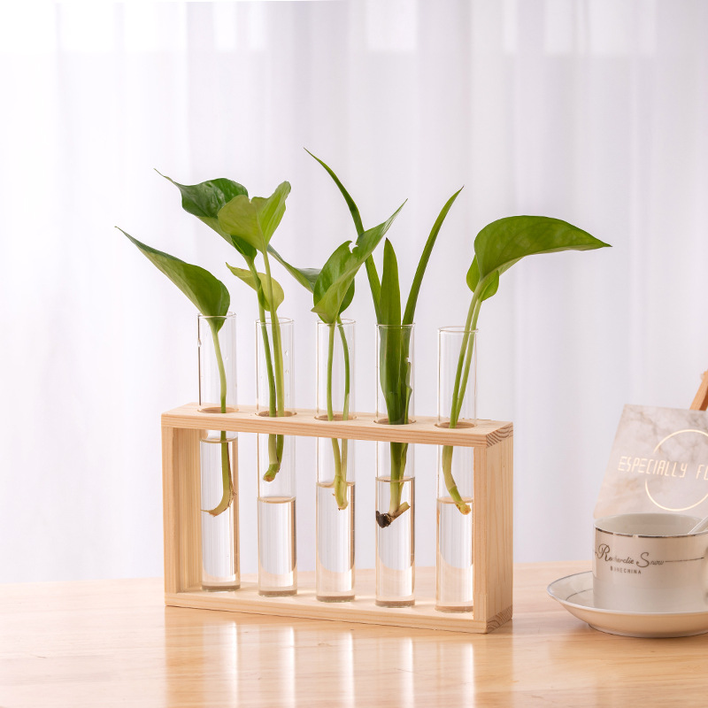 Tall Clear Tube Glass Vase Set With Wood Stand