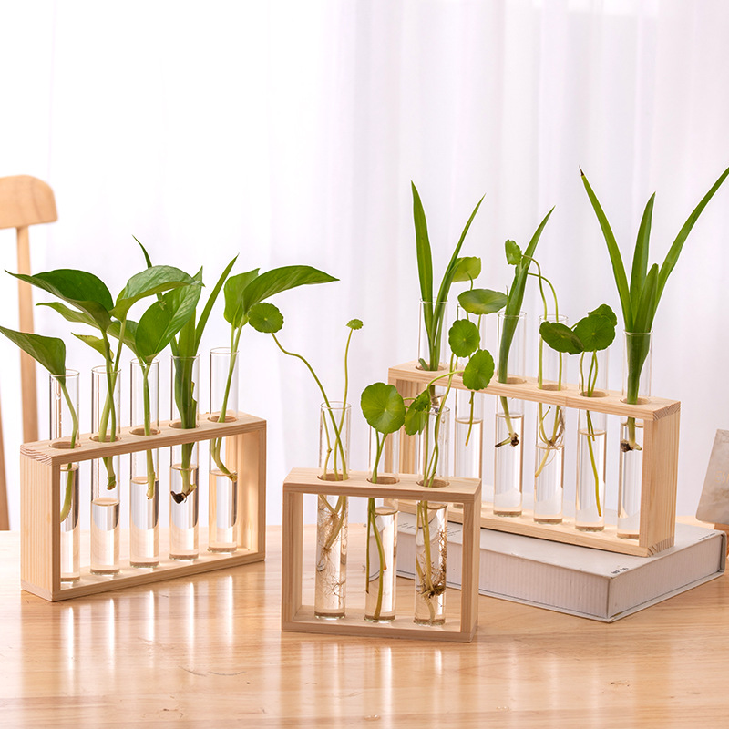 glass tube vases