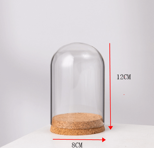 tall glass jar with lid tall glass jar with lid