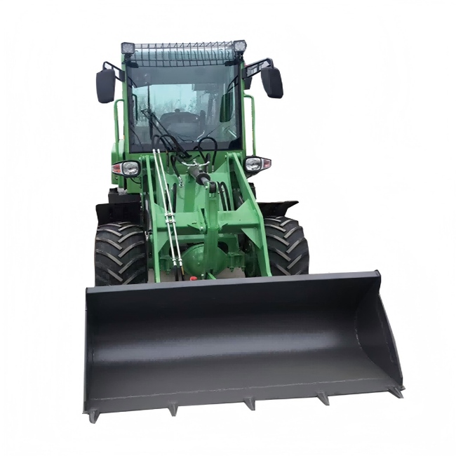 Why Prices Differ for the Same Loader Mini Model: Key Factors Explained