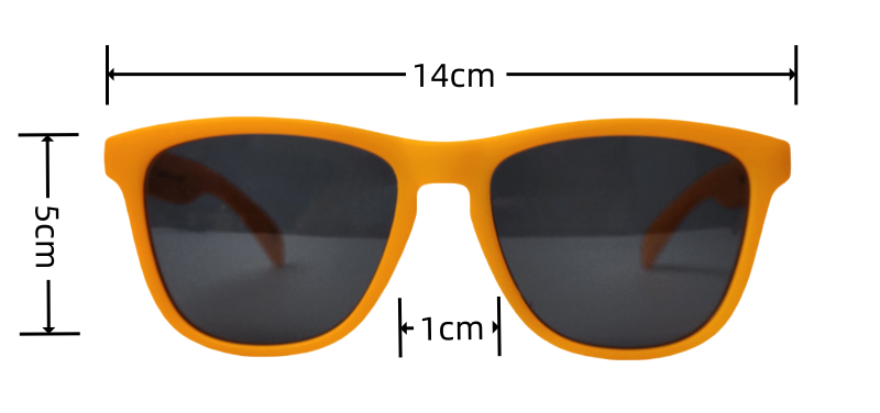 sun sunglasses