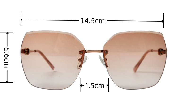 titanium eyewear