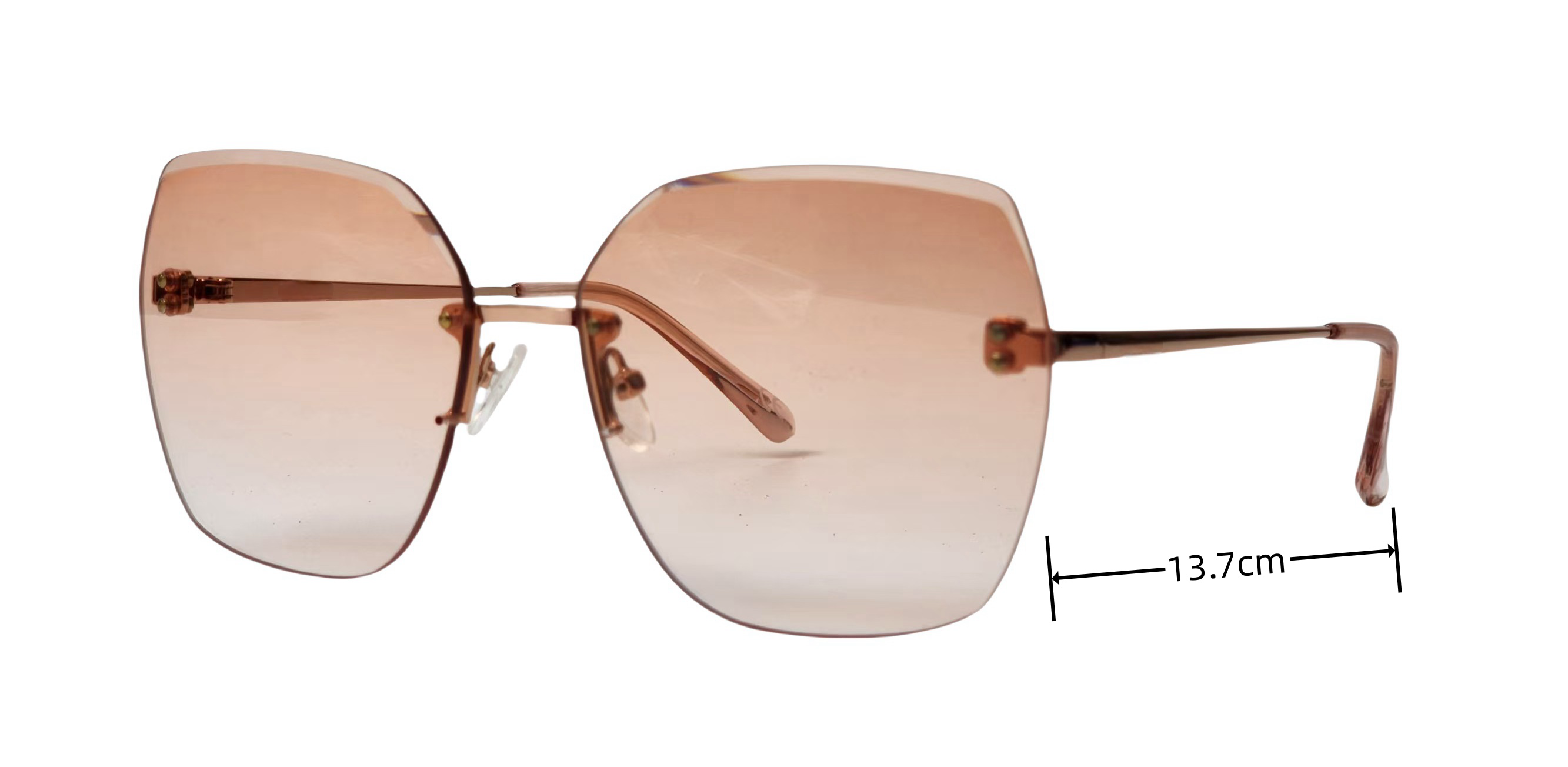 titanium spectacles