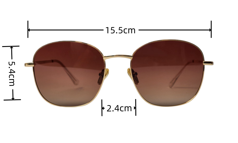 bifocal lens