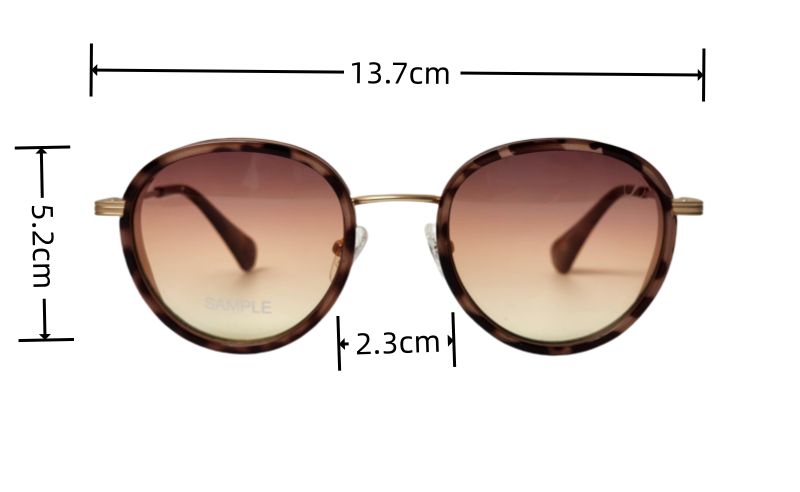 glasses with changeable frames