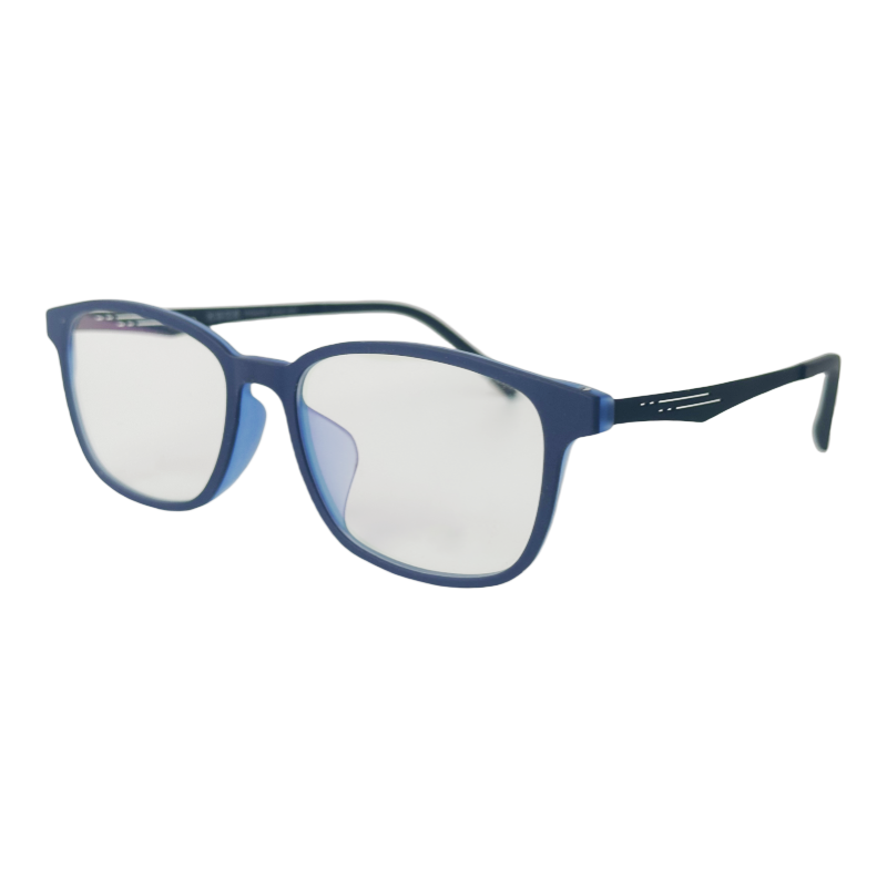 pure titanium glasses