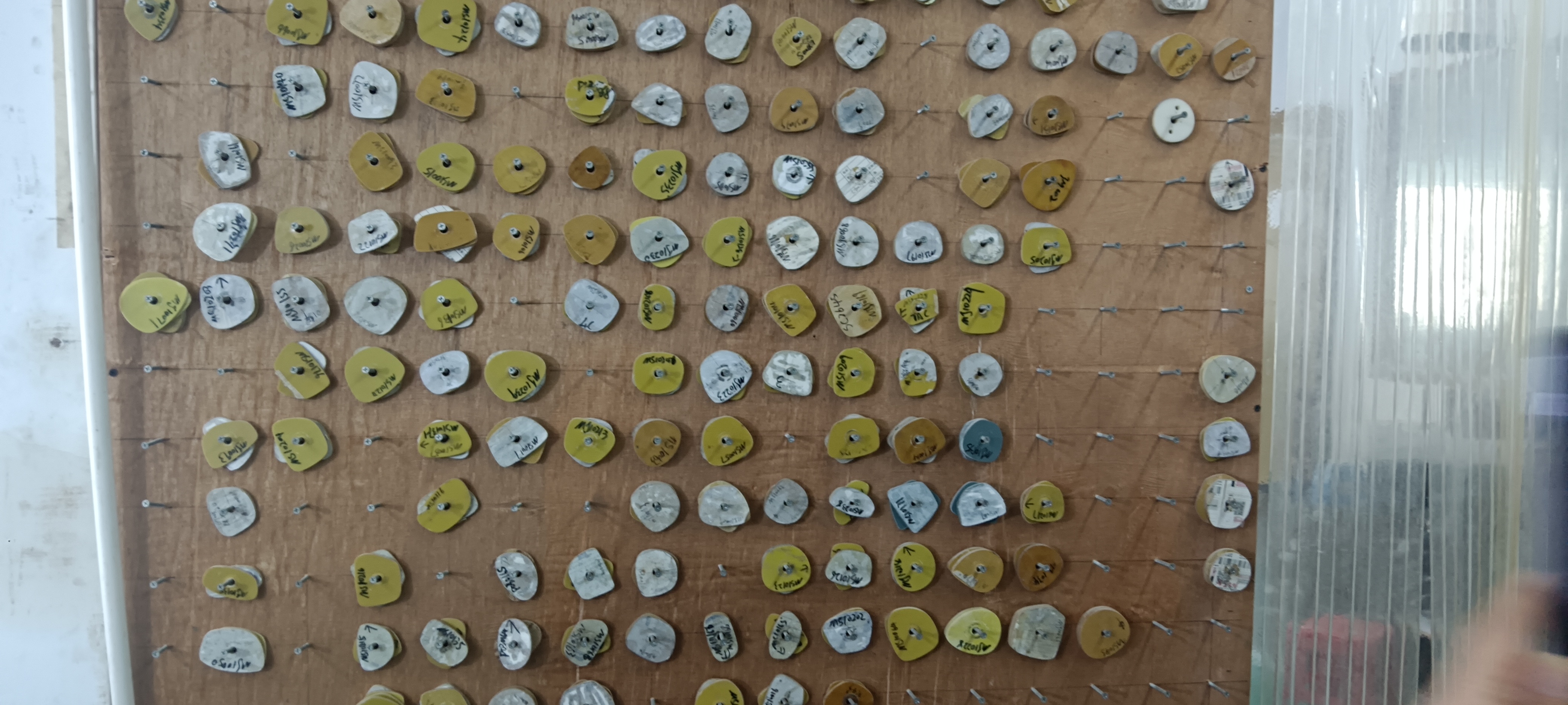 The Role of Diverse Mold Shapes in Eyeglass Manufacturing