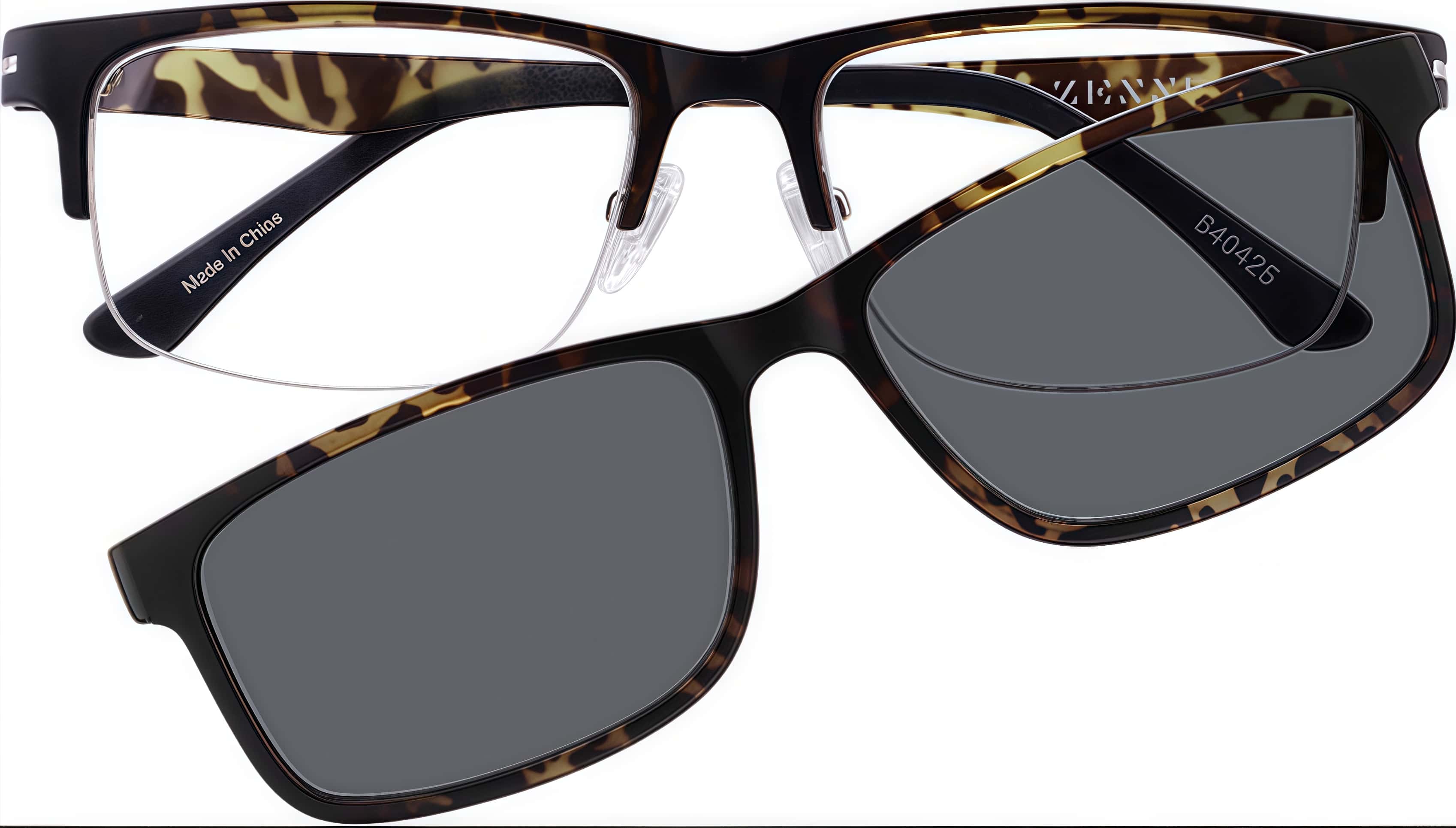 interchangable glasses frames