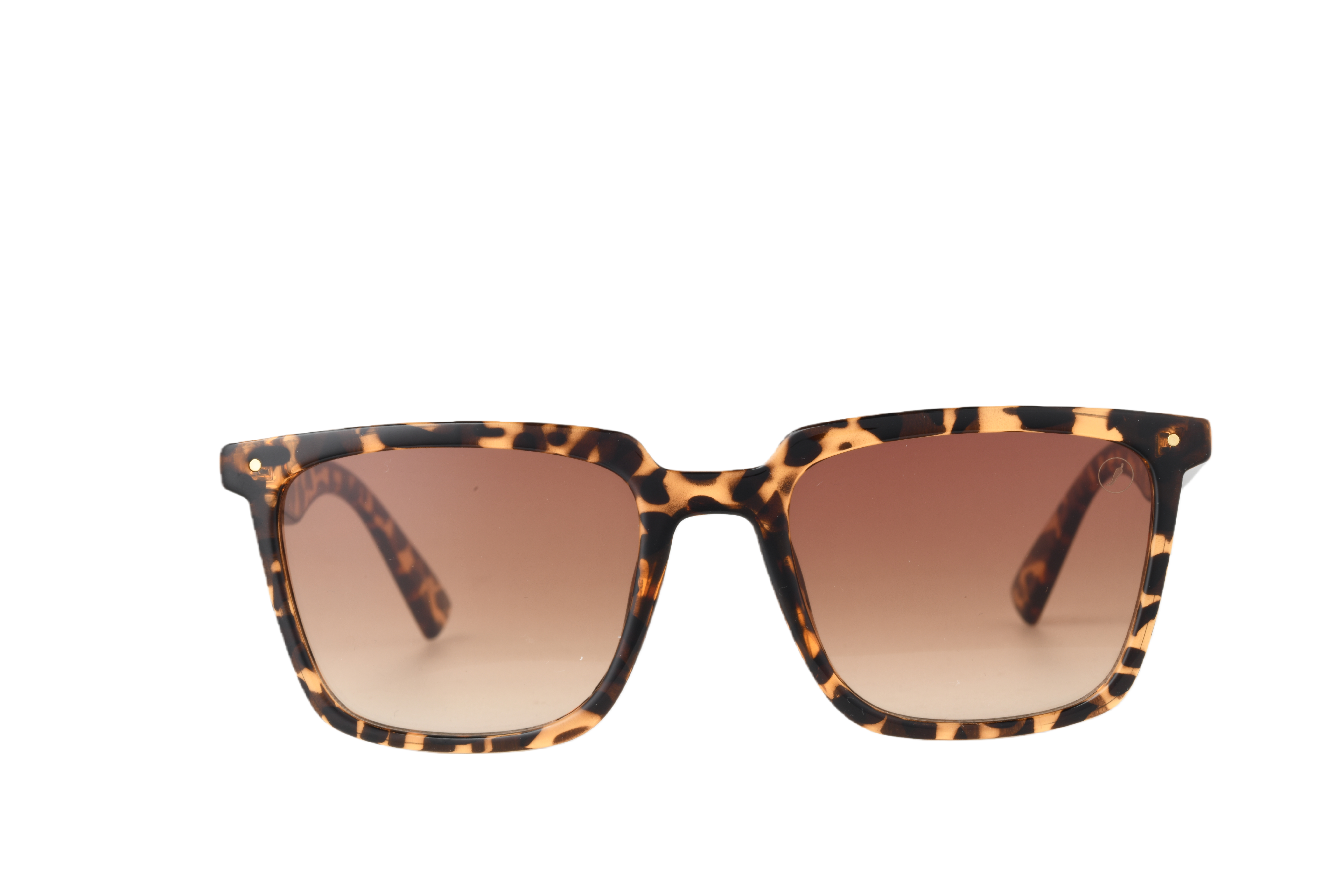 من نظارات القراءة الأنيقة إلى أفضل نظارات الجري