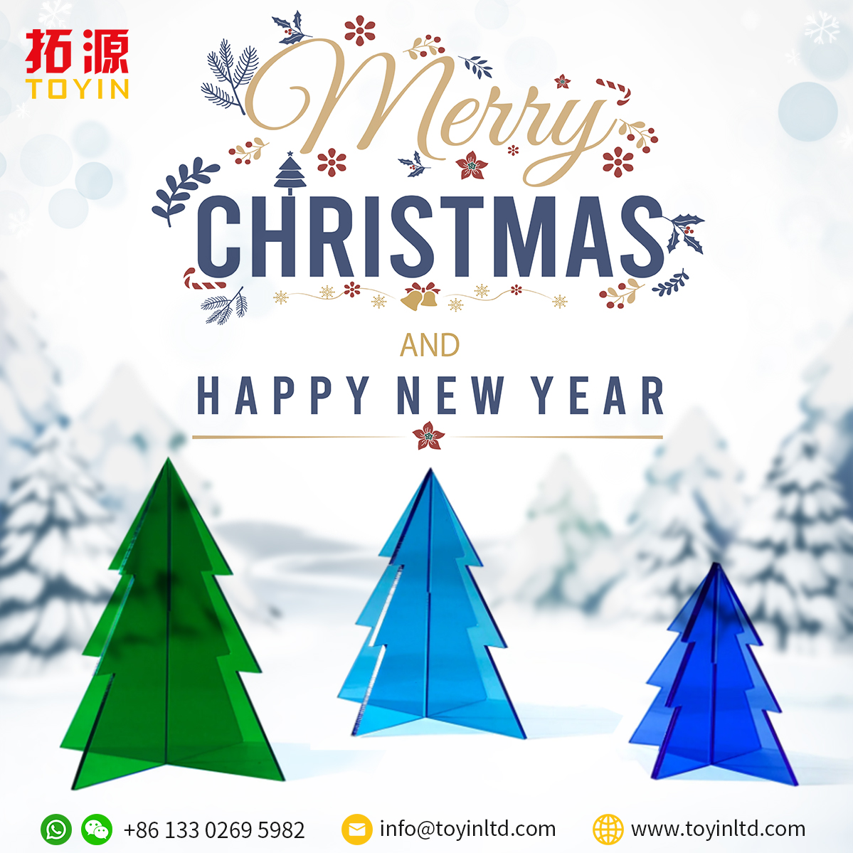 Merry Christmas from TOYIN!