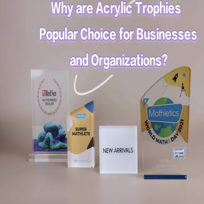 Why are Acrylic Trophies Popular Choice for Businesses and Organizations?