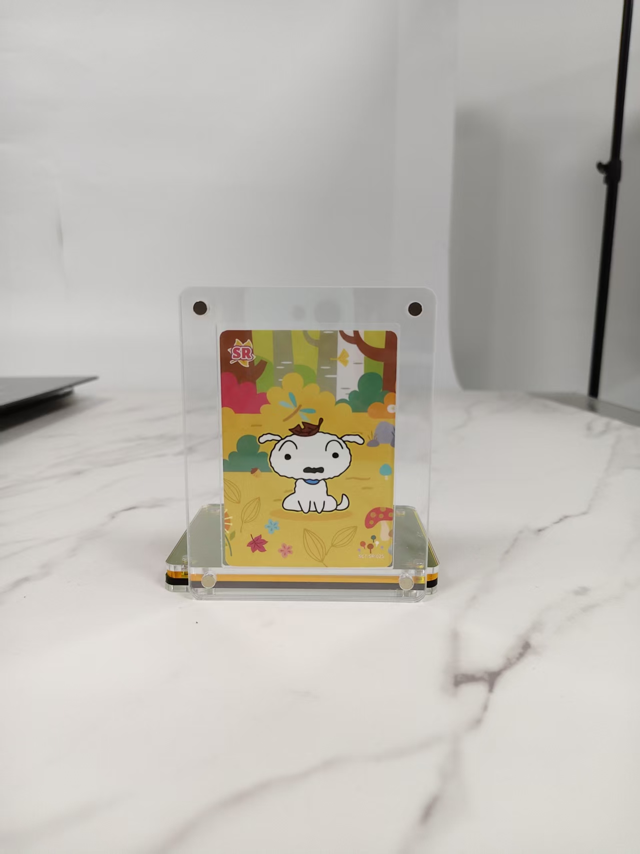 card holder card holder