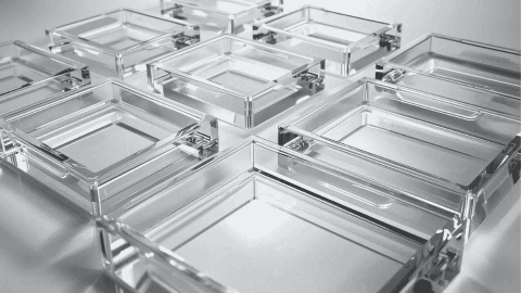 How to Choose Rectangular Acrylic Trays for Your Space