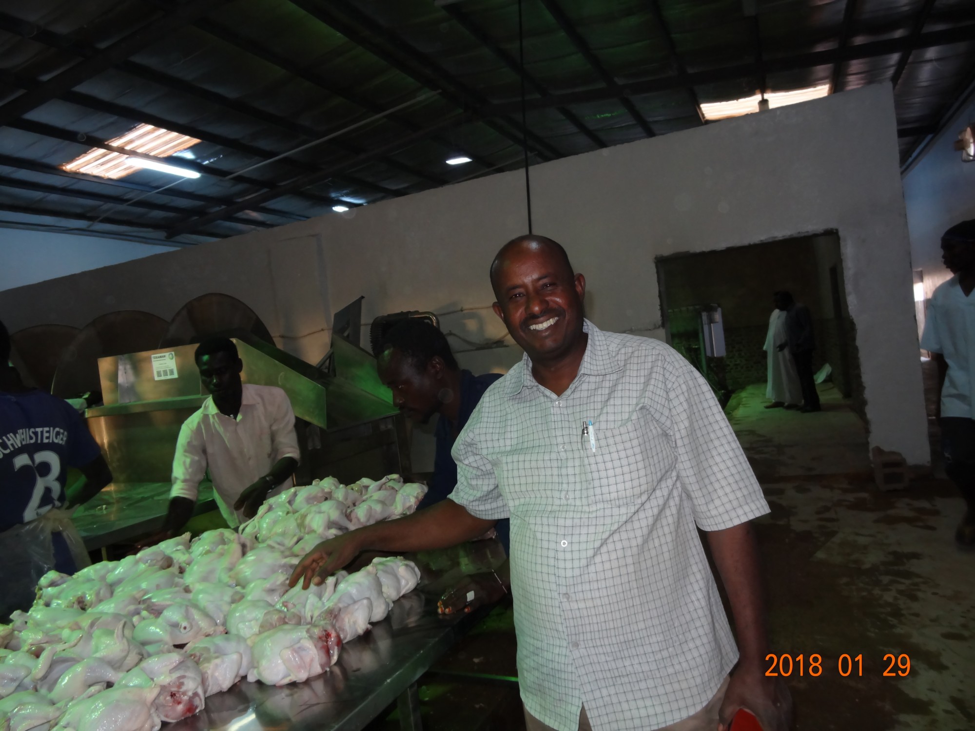 Sudan 500BPH chicken slaughter equipment project finish installation