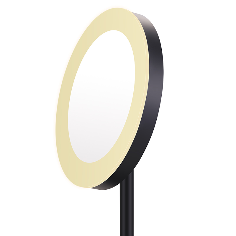 Acrylic Desktop Makeup Mirror