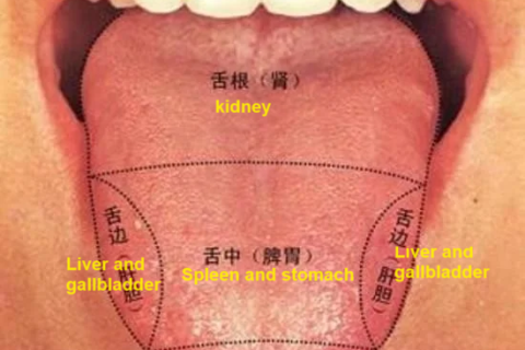 Tongue coating diagnosis Principle and why is reliable?