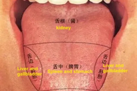舌苔诊断的原理和为什么可靠？
