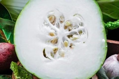 中医中有助于减肥的五种食物