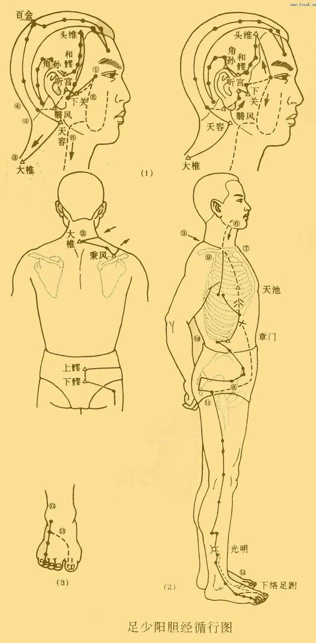 ewborns and jaundice