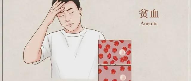 贫血的中医治疗