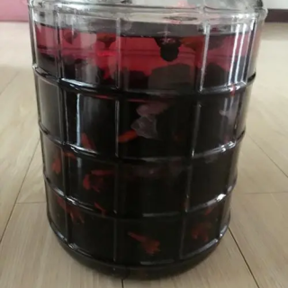 自制美容滋补酒