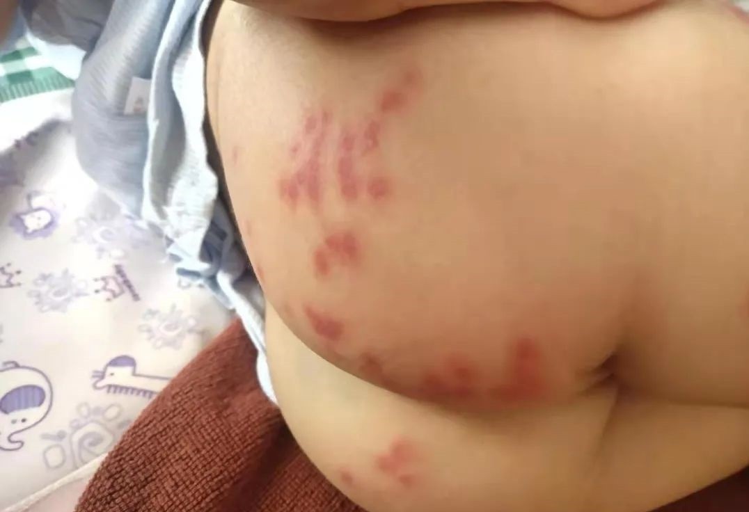 Traditional Chinese Medicine Practitioners