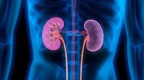 TCM Tips for Daily Kidney Nourishment