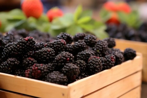 冬季多吃“黑”：睡得更好、防脱发、保持年轻