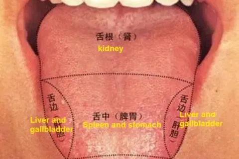 在线舌诊与健康洞察