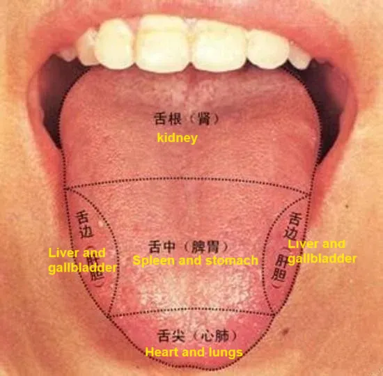 tongue coating diagnosis