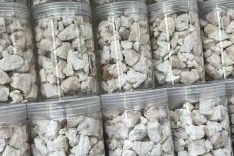 来自中国的定制中药草本提取物