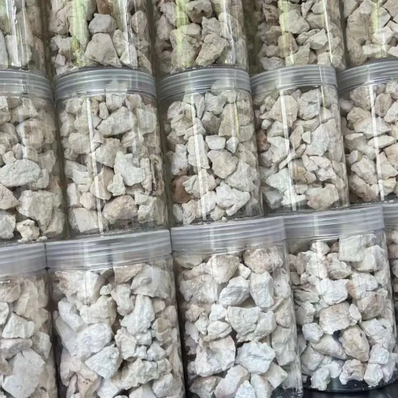 Poria cocos extract