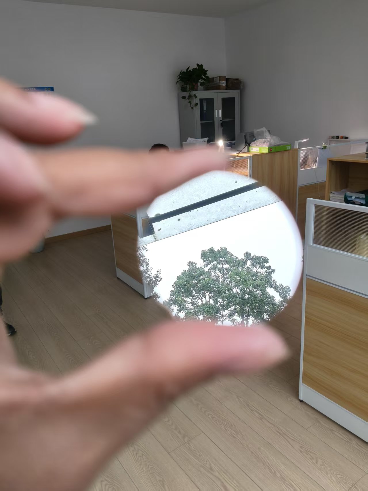 미러 폴리싱 몰리브덴 웨이퍼 몰리브덴 디스크