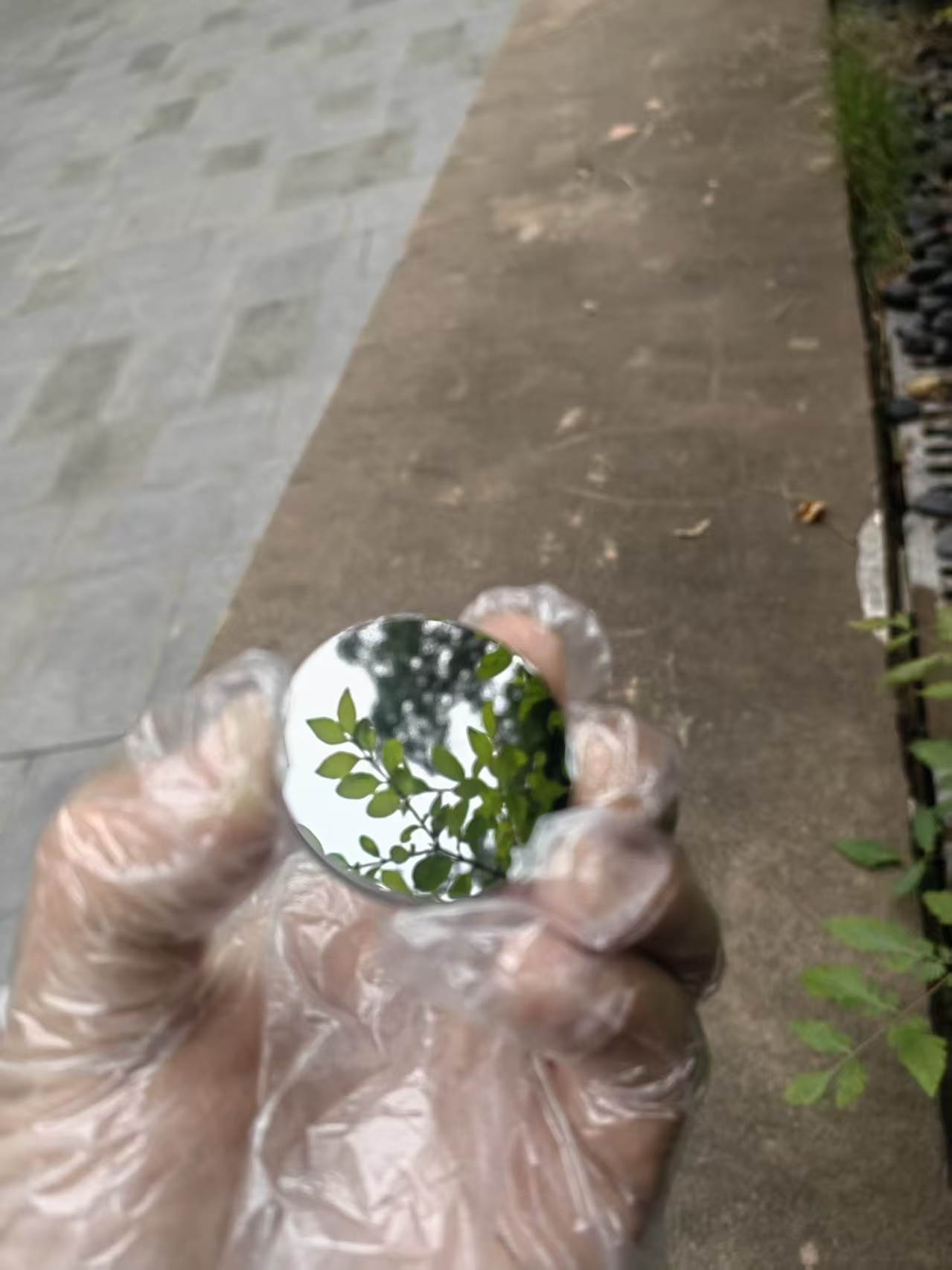 미러 폴리싱 몰리브덴 웨이퍼 몰리브덴 디스크