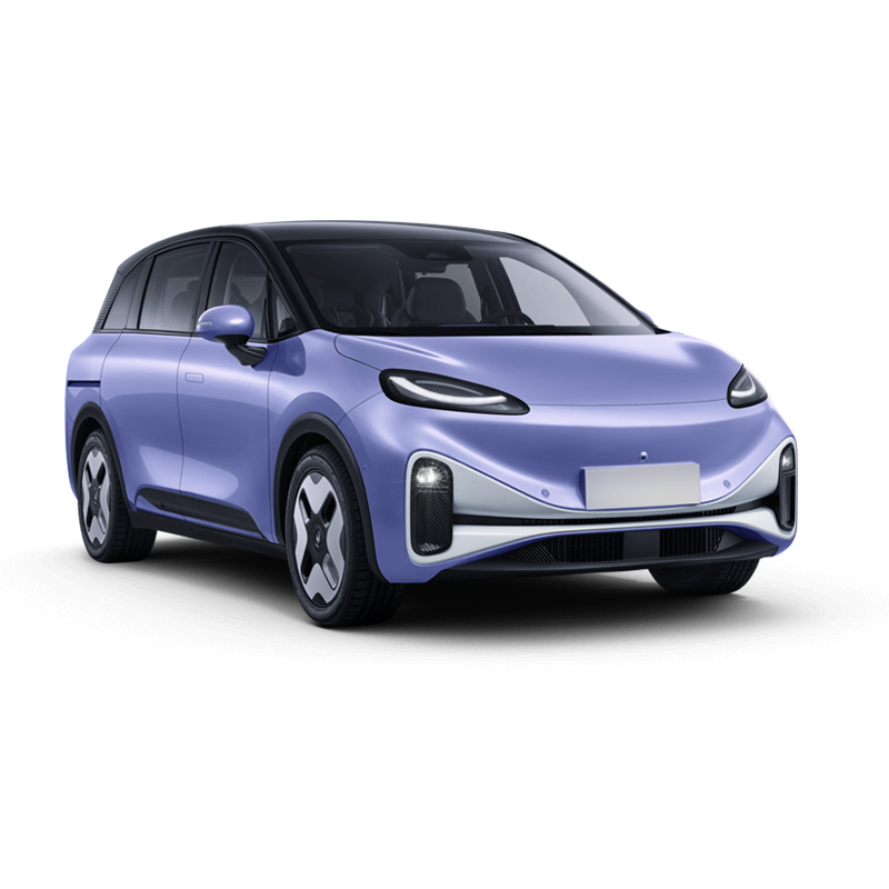 Adult 4-Door Electric Cars