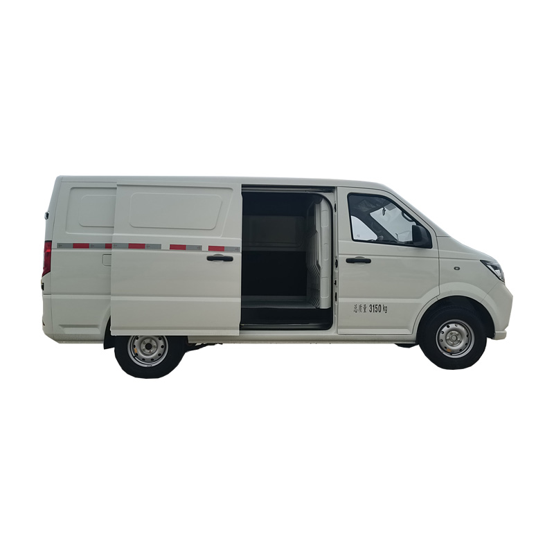 RHD Mini Electric Cargo Van
