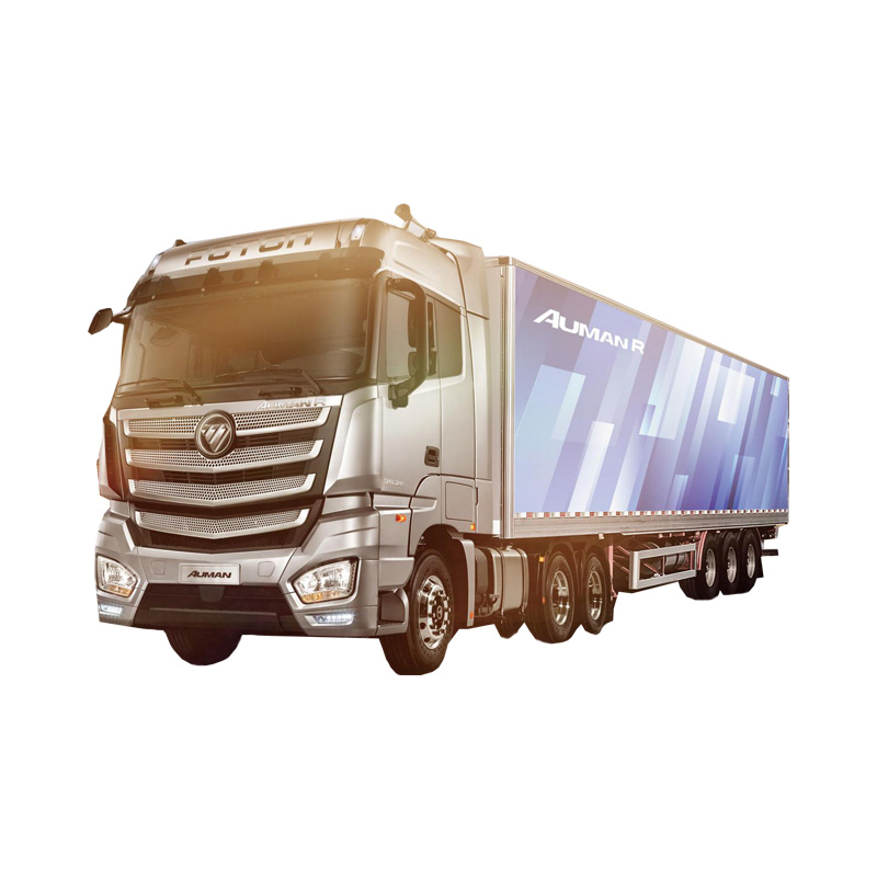 Foton Auman 6x4 8X2 8X4 Logistics Transportation Tractor