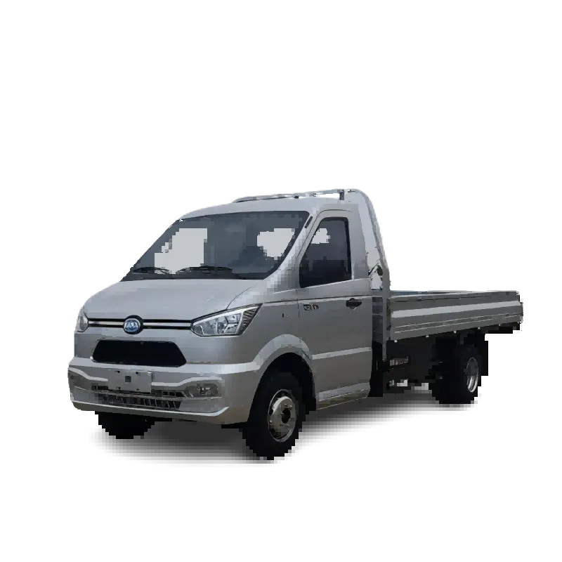Small Cargo Truck