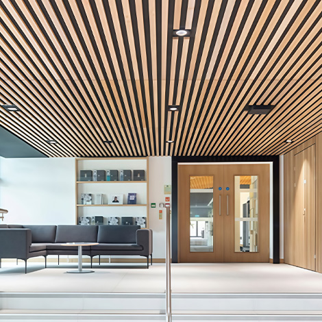 Interior Decoration & Ceilings