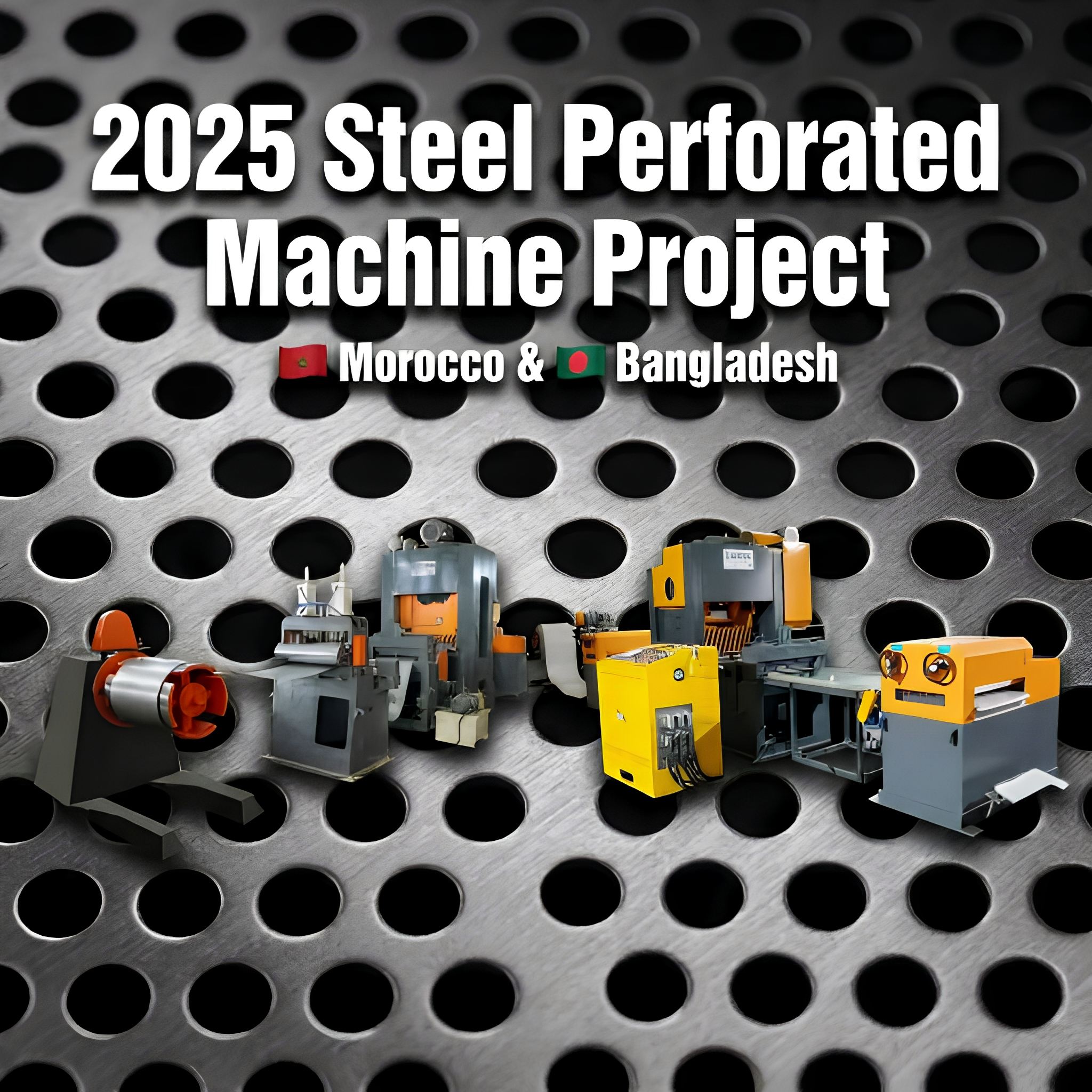 2025 Steel Perforated Machine Project