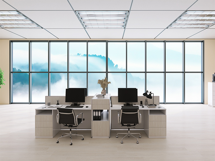 Frame Glass Curtain Wall: Infusing Modernity into Architecture