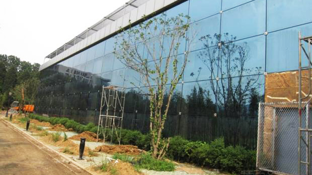 Glass Curtain Wall