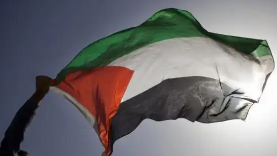 Insulated Aluminum Windows