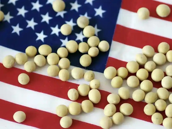 China's Orders for US Soybeans Remain Zero During Harvest Season